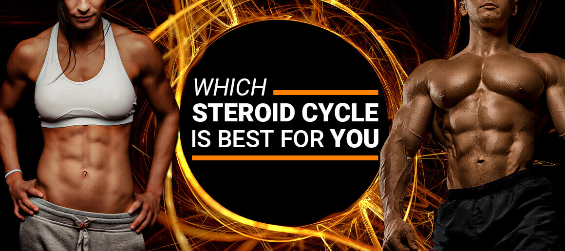 Cover Jack Male and Female Bodybuilder - Which Steroid Cycle Is Best For You?