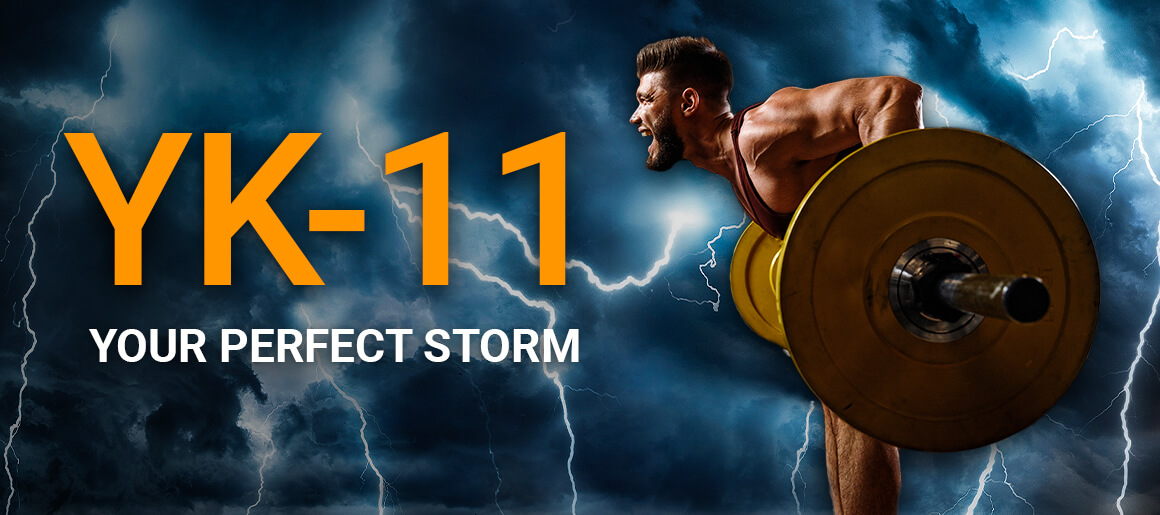 Cover YK-11 Steroid Product Canada