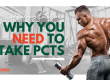 Why You Need To Take PCTs