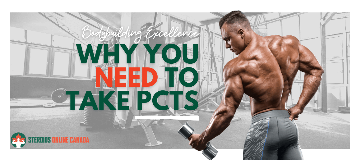 Best PCTs Canada Why You Need To Take PCTs