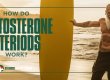 How Do Testosterone Steroids Work?